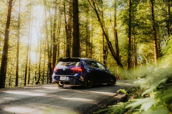 Tout savoir sur l'attelage pour voiture : guide complet